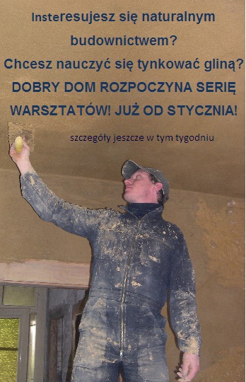 Warsztaty 2013